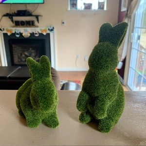 Green Grass Bunnies